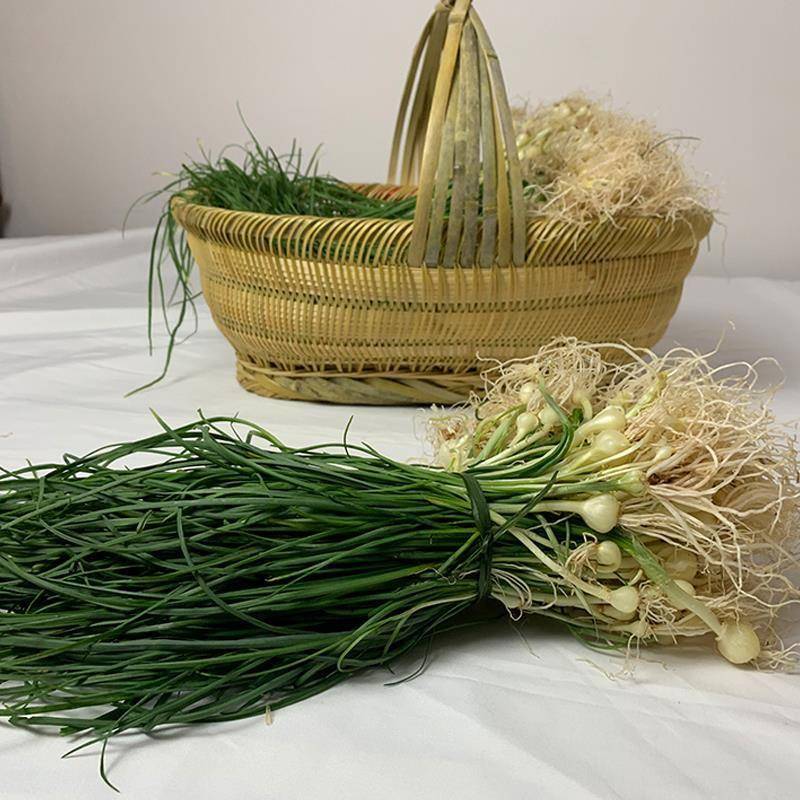 湖南湘西新鲜野葱野菜现挖小根蒜胡葱沙葱当季麻阳香葱苦非藠头