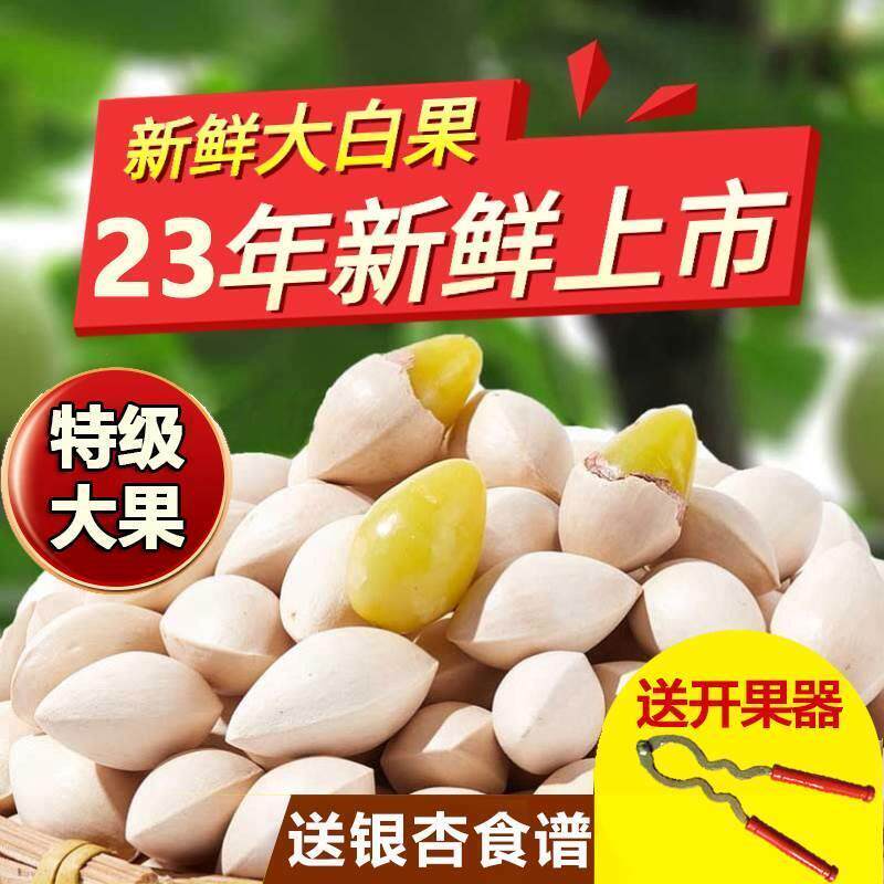 特级白果新鲜大果2025年银