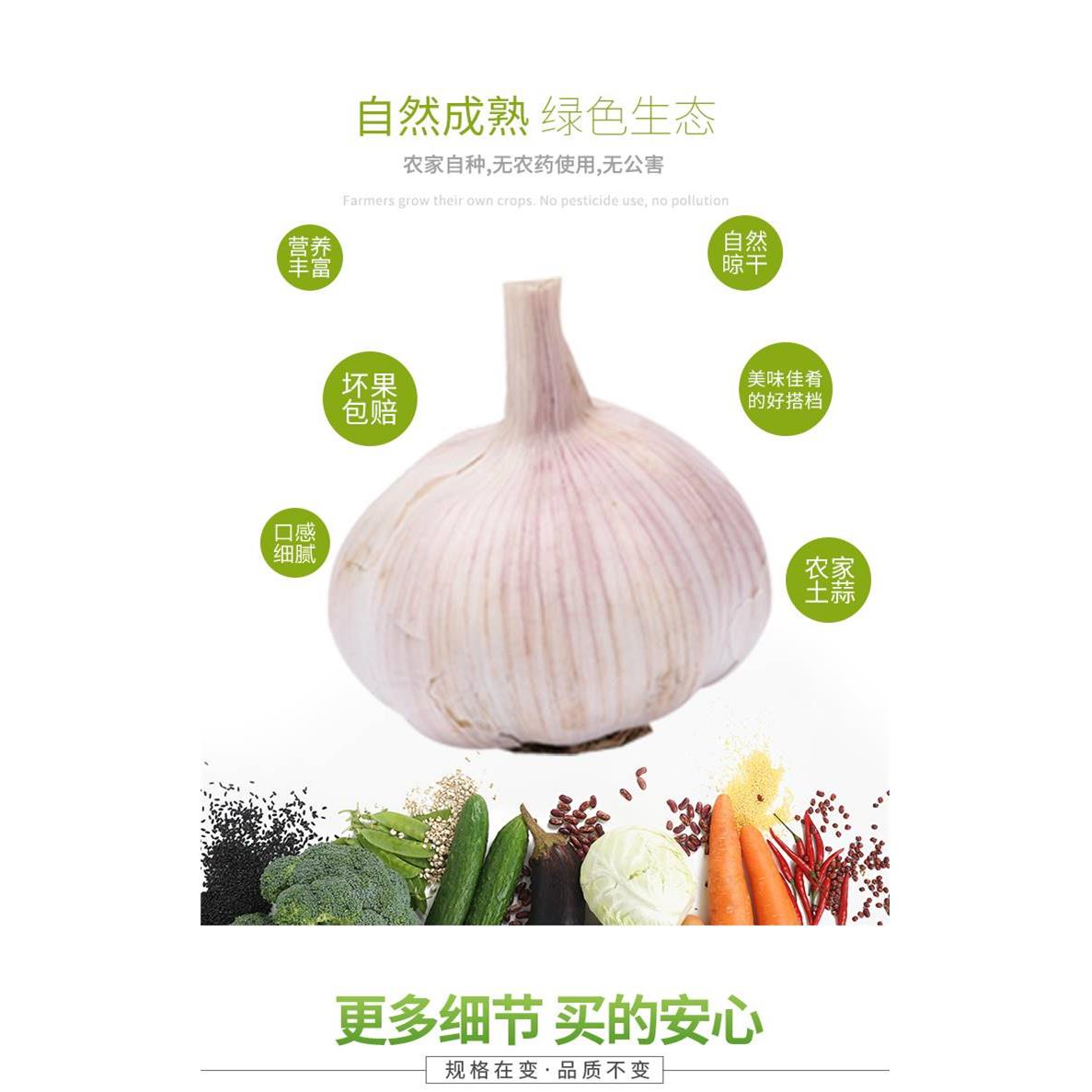 干大蒜头10斤自种河南杞县大蒜年蒜头干蒜5斤紫皮白皮2斤3斤