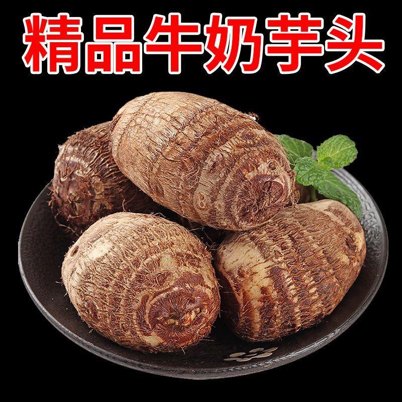 今年特价贵州新芋头新鲜牛
