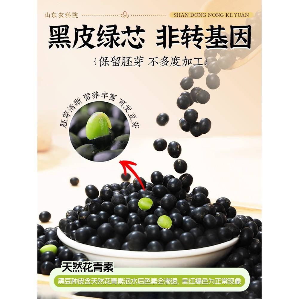 东北黑豆绿芯心打豆浆专用新货豆类杂粮补非转基因肾形官方旗舰店