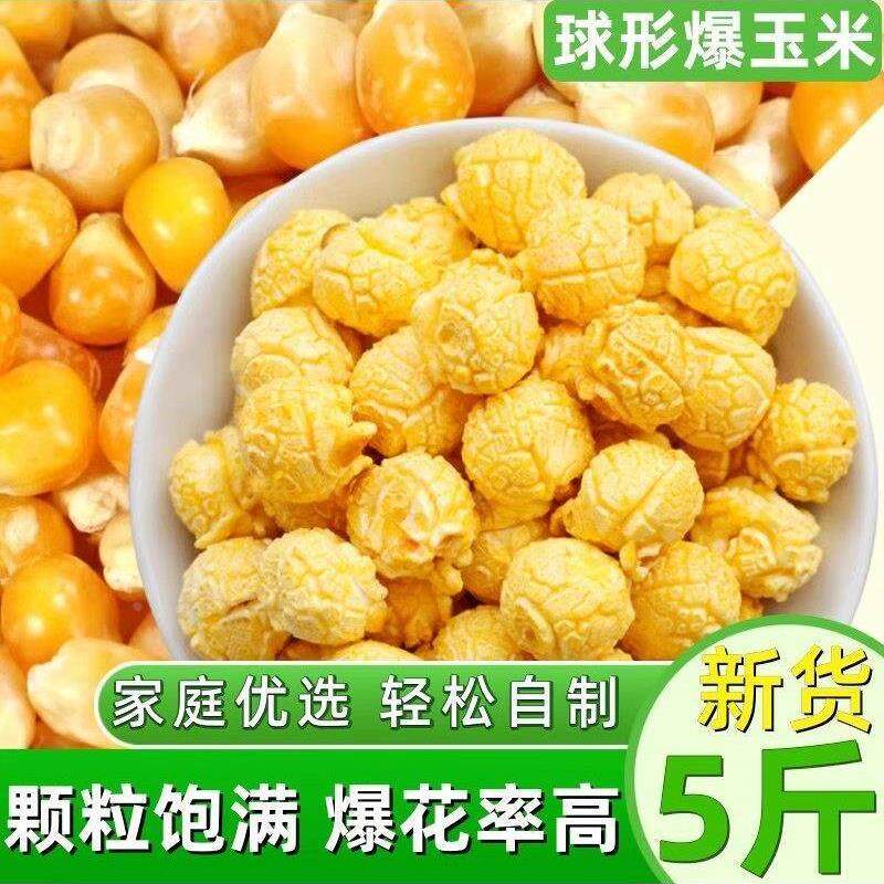 爆米花专用玉米粒5斤电影