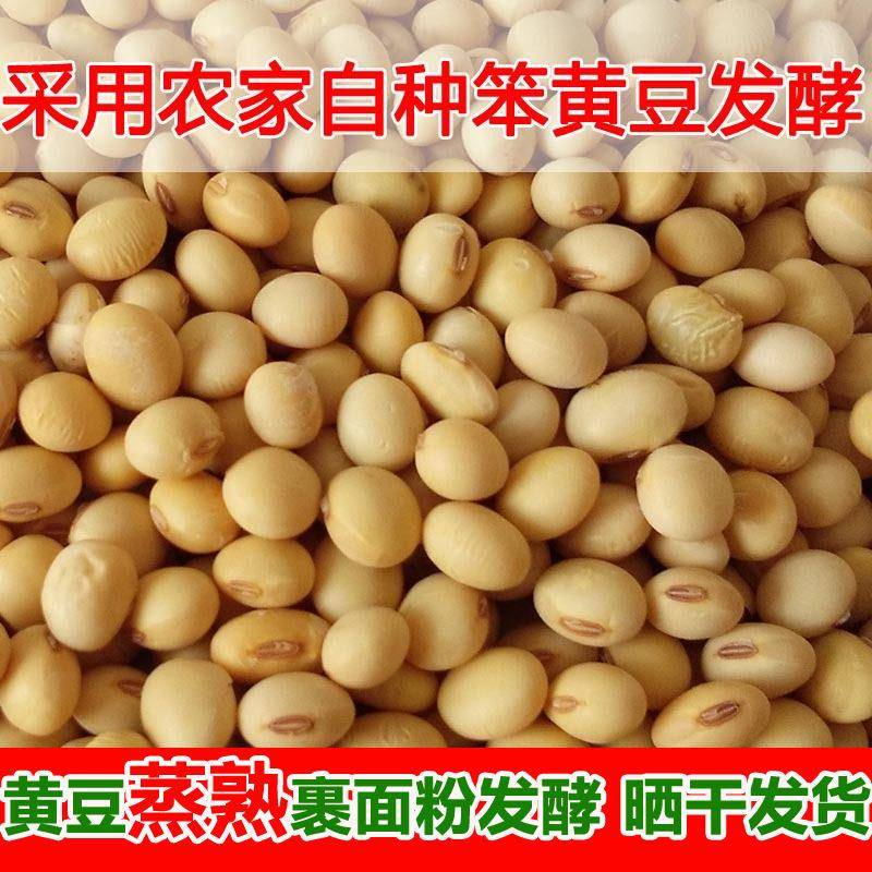新品霉黄豆自然发酵捂豆子捂黄豆西瓜酱豆 3斤包邮农家自制霉大豆
