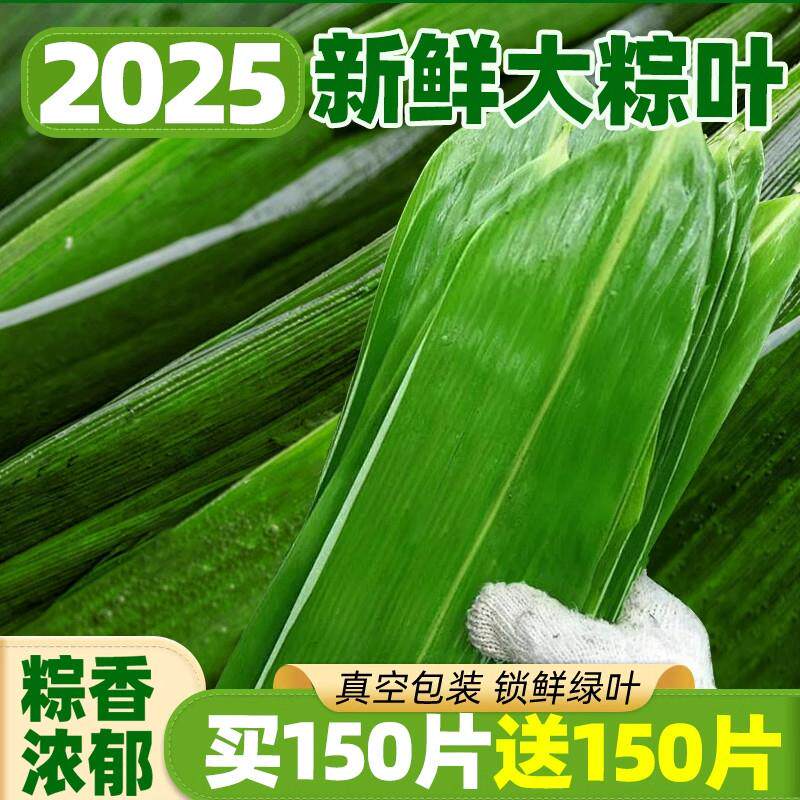 白洋淀粽叶野生天然新鲜芦