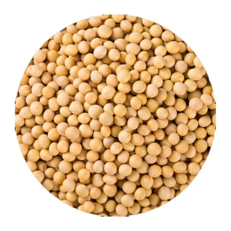 新黄豆发豆芽专用生豆芽泡豆芽发芽黄豆优质大豆非转基因2斤包邮
