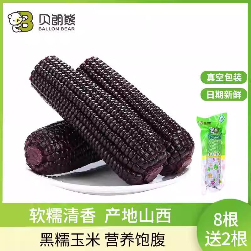 整箱10根牛糯糯忻州黑糯玉米山西特产
