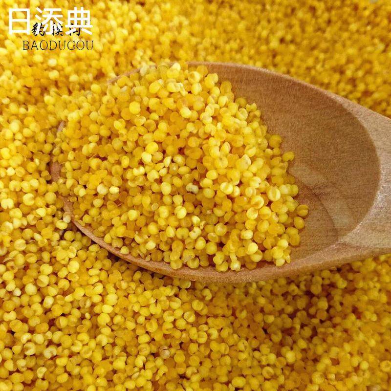 山西晋城陵川县土特产豹犊沟西河底小米农家米石磨2.5kg袋装黄米