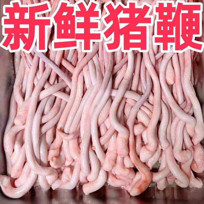 新品新鲜纯猪鞭5斤80-90条整箱商用猪小弟猪烧烤串串火锅食材