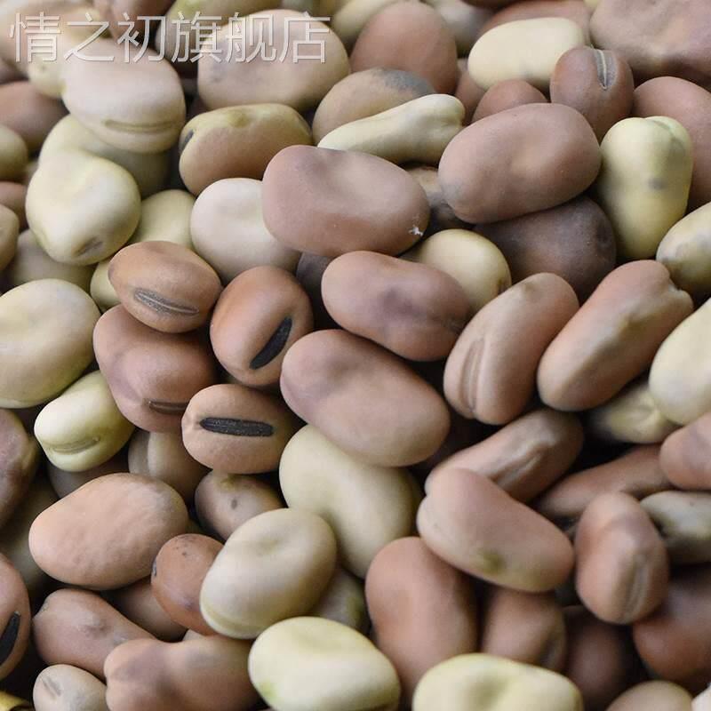 云南新鲜干蚕豆农家新货散装五斤生的白皮胡豆罗汉豆小颗粒做炒豆