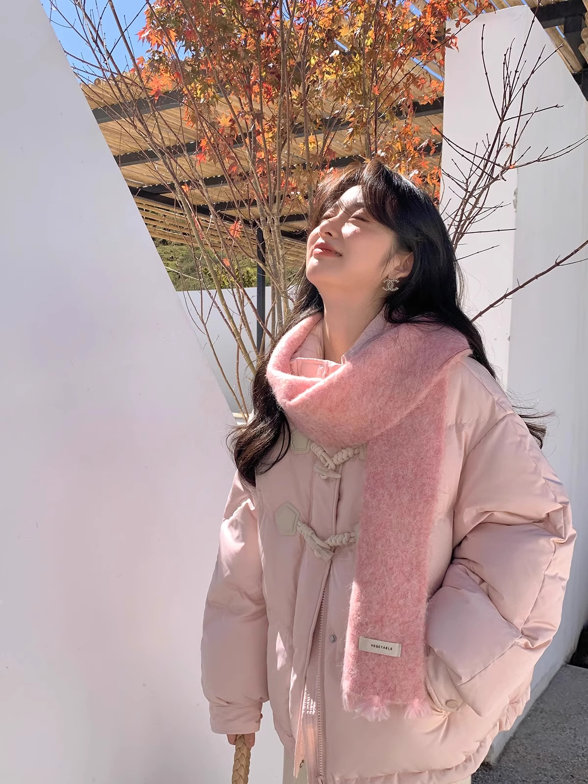 牛角扣羽绒服女立领短款小个子设计感2025年新冬保暖白鸭绒面包服