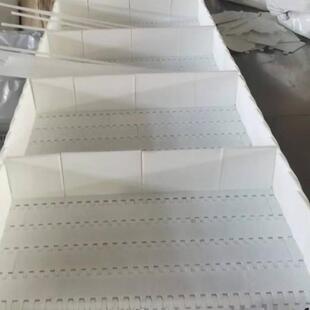 定制塑料炼板网炼输送带爬坡提升网带果蔬清洗食品级尼龙输送带厂