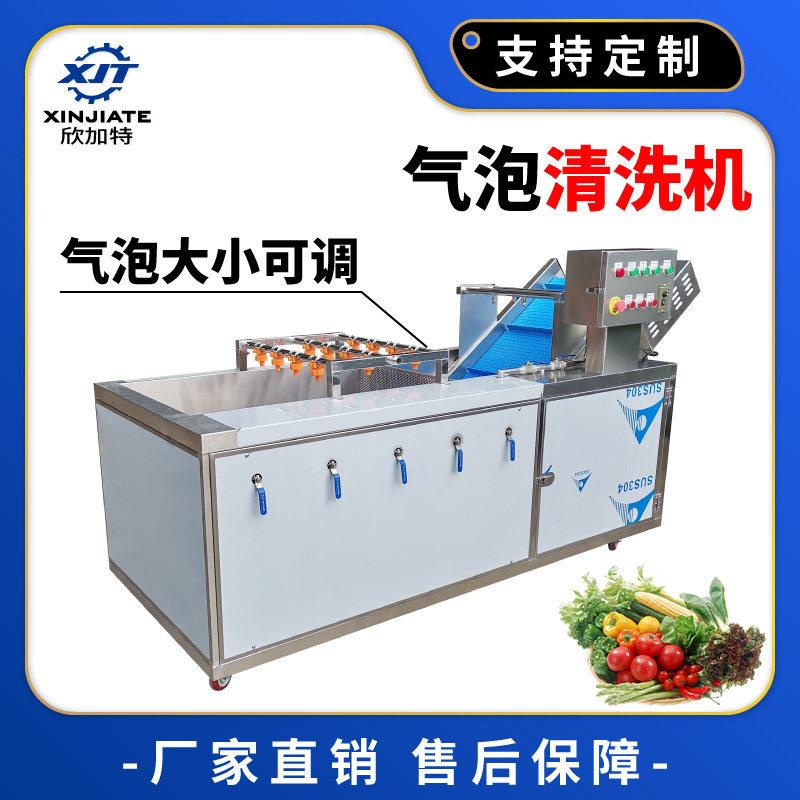 厂家直销全不锈钢蔬菜清洗机气泡清洗机净菜加工果蔬臭氧洗菜机