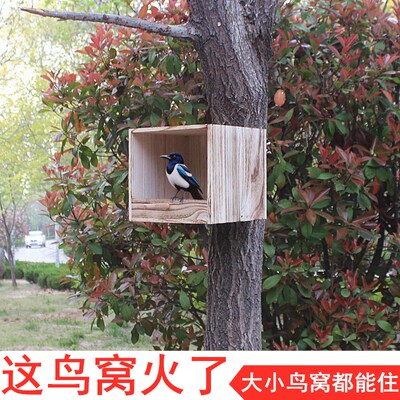 大号鸟窝户外防雨鹦鹉繁殖箱保暖加厚实木挂树幼儿园景区绿色校园