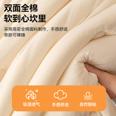 蚕丝被100%桑蚕丝二合一子母被拉炼款  被子冬被全棉加厚保暖被芯