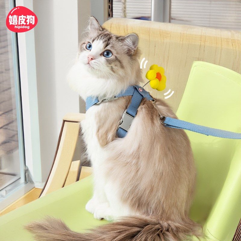 摇摇乐猫咪牵引绳防挣脱外出专用遛猫绳溜猫链子宠物胸背带猫绳子,宠物/宠物食品及用品,猫牵引绳,淘宝优惠券,粉丝福利购,淘宝优惠卷
