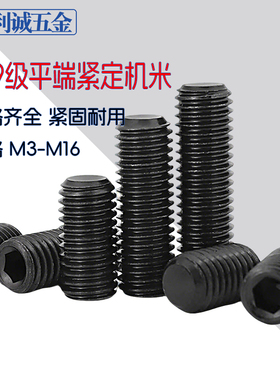 12.9级黑色紧定螺丝钉机米无头紧顶丝平端尖尾螺钉M234568-16