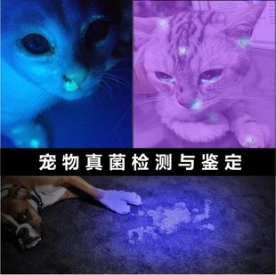 伍德氏紫外线UV手电筒10W照玉石钱币荧光剂验钞杀猫藓检测灯