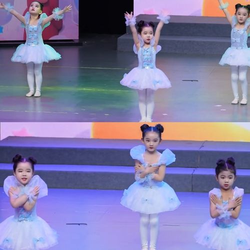 爱跳舞的小怪兽儿童演出服六一幼儿园女童可爱蓬蓬纱裙芭蕾舞蹈服