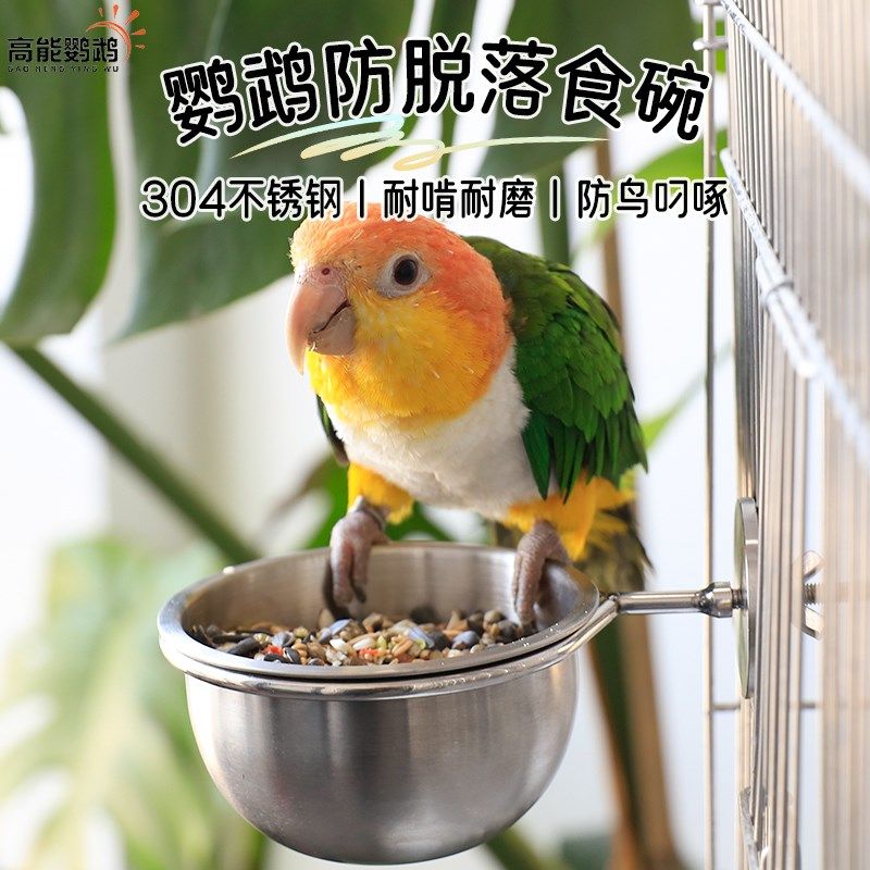 304不锈钢鹦鹉鸟食盒防溅鸟笼食杯鸽子饮水器挂式喂食器专用食碗,宠物/宠物食品及用品,鸟禽喂食器/喂水器,淘宝优惠券,粉丝福利购,淘宝优惠卷