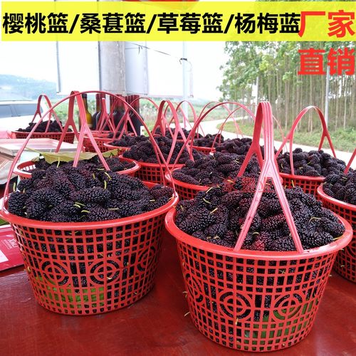 塑料篮子圆形水果采摘篮红色圆篮草莓篮杨梅篮桑葚篮厂家包邮