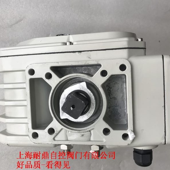 电动执行器 -05B  10B  20B  25B 40B 60B 50B 100B 200B 执行器