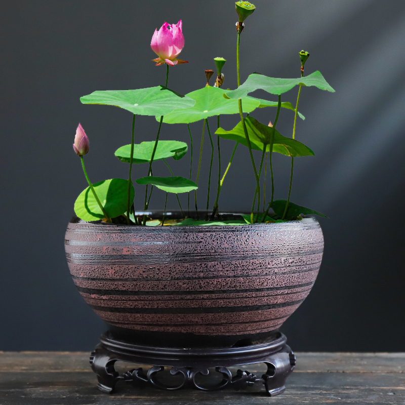水仙花盆陶瓷无孔水养大号铜钱草睡莲碗莲专用一叶莲荷花创意花盆
