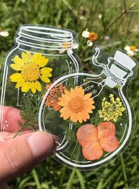 手工DIY瓶子干花贴纸透明植物标本干花便签书签玻璃瓶制作材料包
