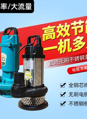 直流潜水泵12V24V48V60V72V电瓶车抽水泵小型电动农用灌溉抽水机