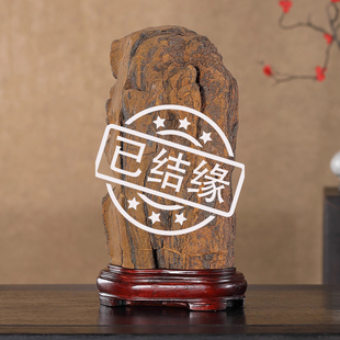 顶爷天然原石奇石【基业长青树化石】观赏收藏装饰摆件镇宅靠山石