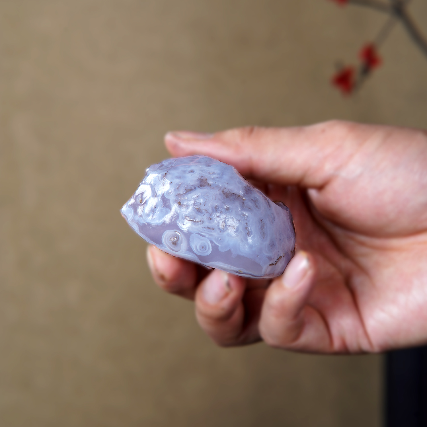 顶爷天然原石奇石【戈壁玛瑙小鱼】收藏镇宅靠山观赏修心把玩摆件