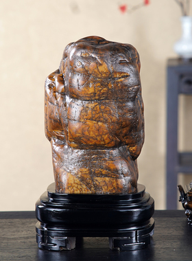 顶爷奇石原石靠山收藏大化石摆件