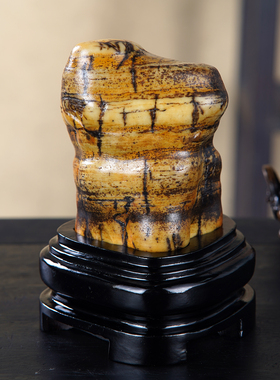 顶爷奇石原石靠山收藏大化石摆件