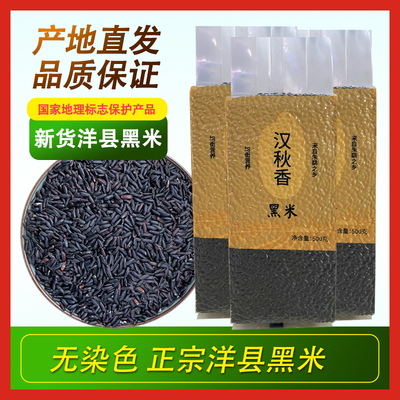 新米洋县黑米真空500g