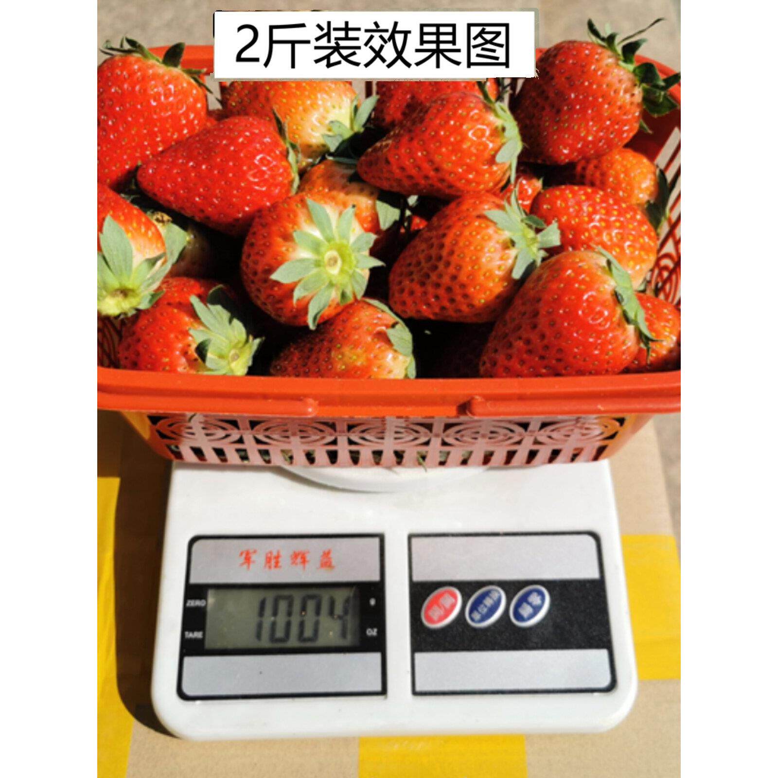2斤装杨梅篮塑料篮子桑葚篮草莓篮手提小篮 长方形水果采摘樱桃篮