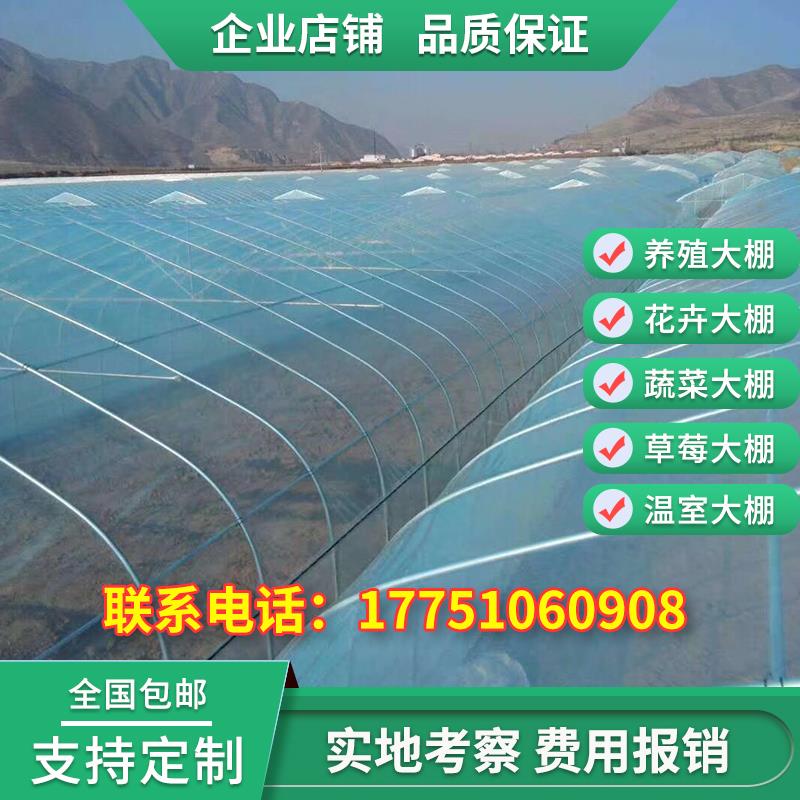 大棚钢管骨架家用连体简易蔬菜温室大棚养殖大棚骨架全套配件大全