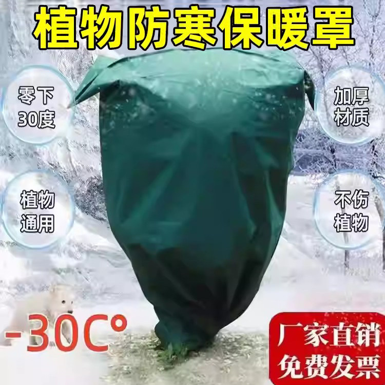 果树防寒布防冻布保暖保温篷布y柑橘防霜雪无纺布树木绿植物越冬