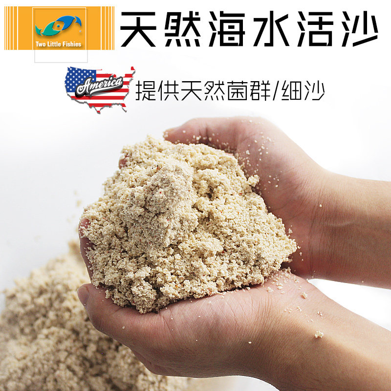 两只小鱼活沙细砂粗砂含天然w菌群鱼缸沙子免洗海缸底沙底砂珊瑚