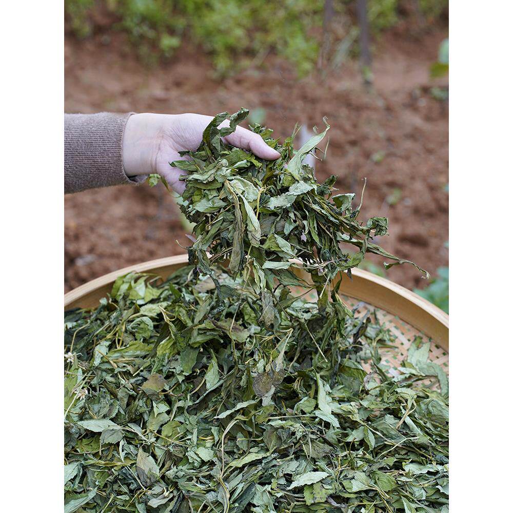 苦菜干福建省德化农家自晒野生苦菜干败酱草苦斋婆新鲜生晒野菜干