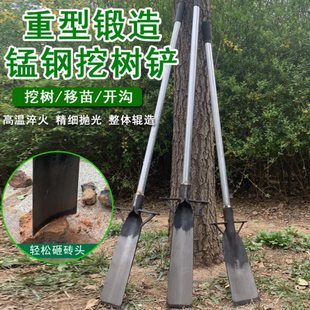 锰钢挖树铲子洛阳铲起苗器移栽苗木铁锹打洞取土挖土农用打井工具