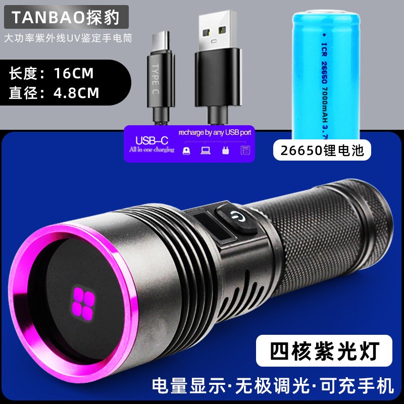 跨境紫光灯大功率鉴定专用手电筒瓷器验钞防伪UV黑镜365nm固化灯