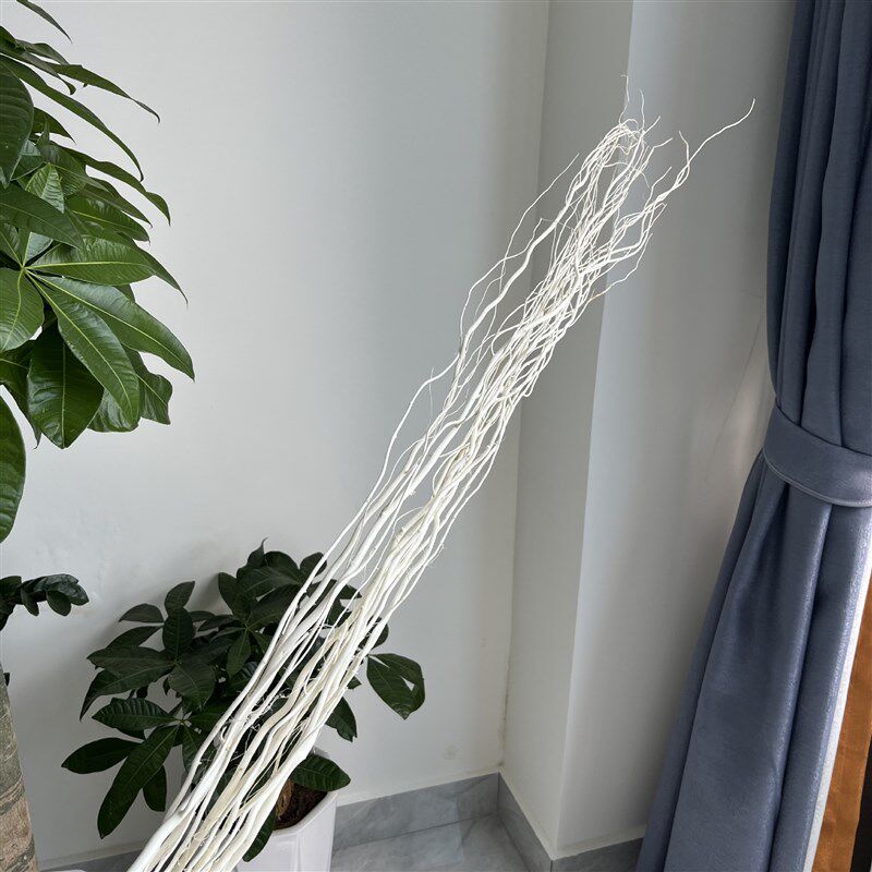 天然干树枝龙柳干树枝真树枝装饰白色干花龙桑装饰曲柳枝隔断橱窗