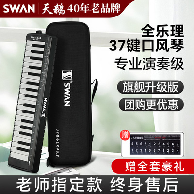 天鹅37键口风琴专业全乐理官方