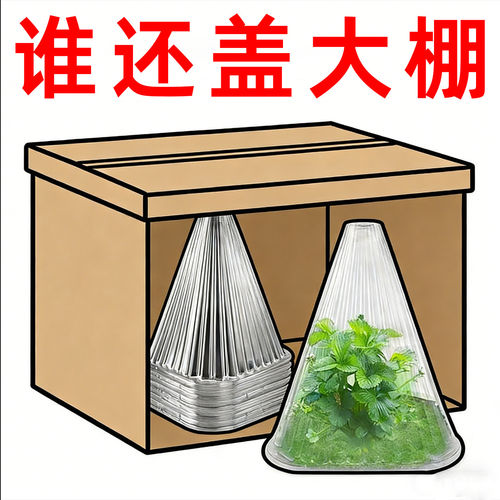 蔬菜植物罩瓜苗菜苗幼苗育苗秧苗大棚育苗保温防虫防鸟防霜保护罩