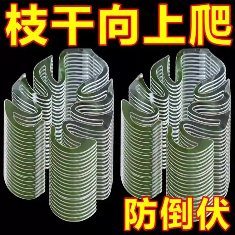 龟背竹防倒伏支架固定器花盆架