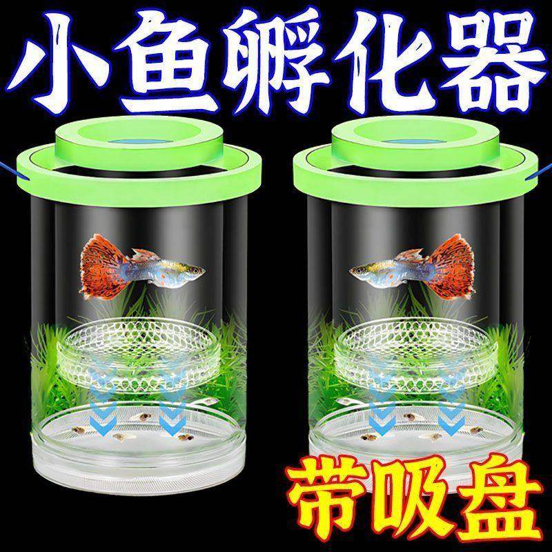 鱼缸隔离盒孔雀鱼繁殖盒鱼缸孵化器小鱼幼鱼母鱼产房悬浮漂浮式图片