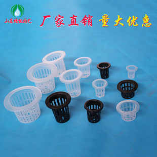 整箱水培固根圆弧PP塑料环保圆形水培控根定植篮固根器简杯定植篮