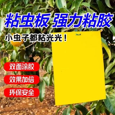 黄板双面粘虫板蓟马纸贴黄蓝飞虫小黑飞果园沾果蝇诱捕器粘板大棚