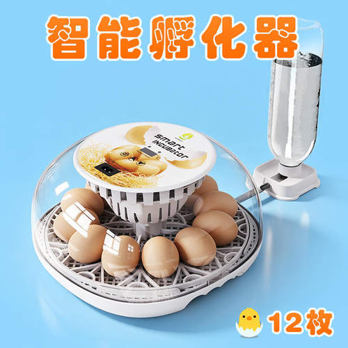 跨境小型全自动智能控温小鸡孵化器孵蛋器家禽家用自动翻蛋