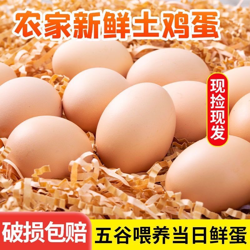 农家40枚正宗散养富鸡蛋散养新鲜虫草蛋一整箱无抗喂养柴鸡蛋批发