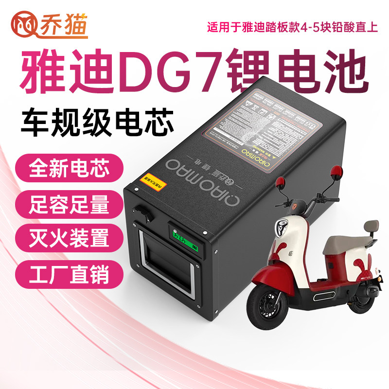 适用雅迪冠能DG7智趣版铅酸改锂电池外卖TDT1346Z/48V60V大电瓶车